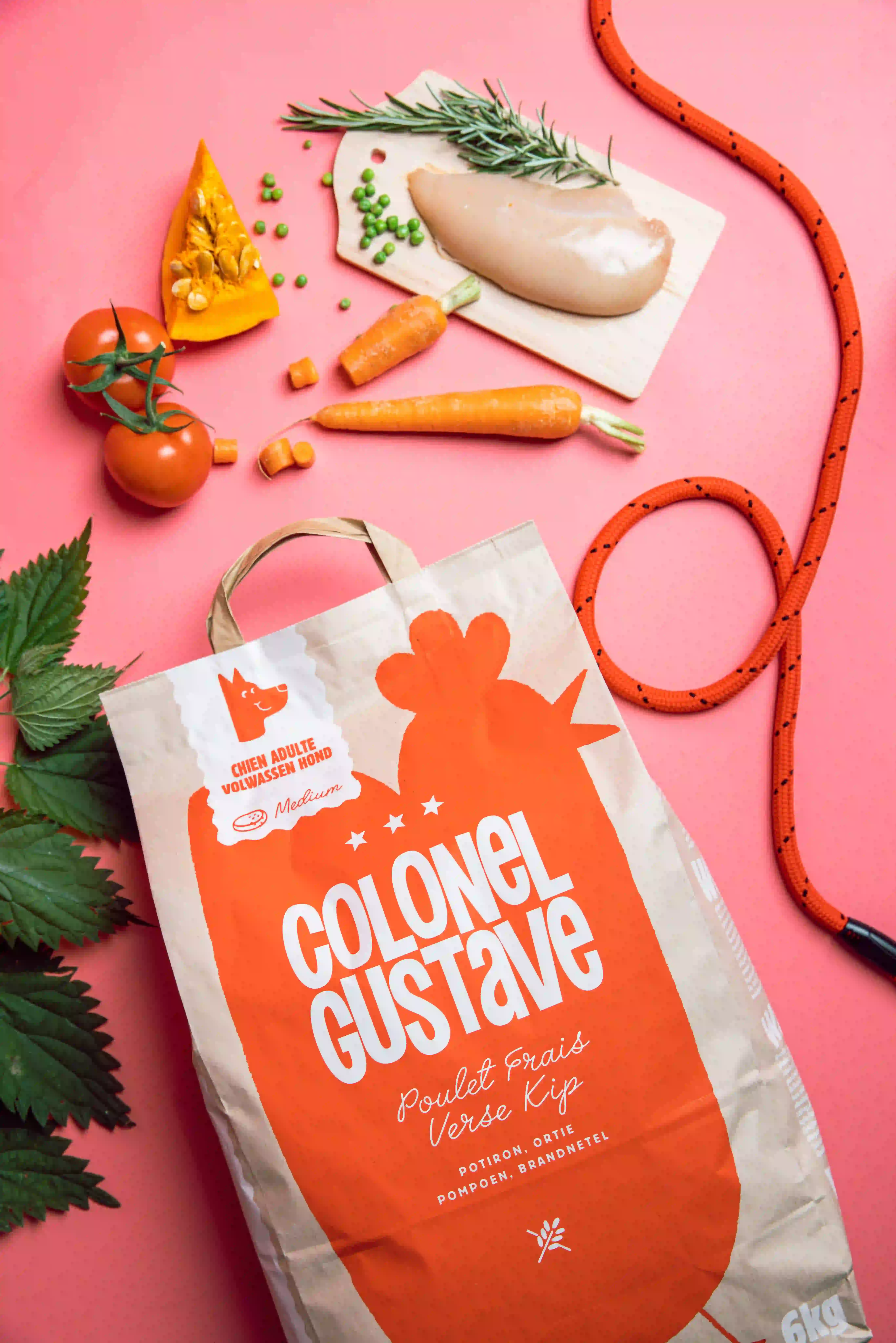 Croquettes chien adulte - Poulet