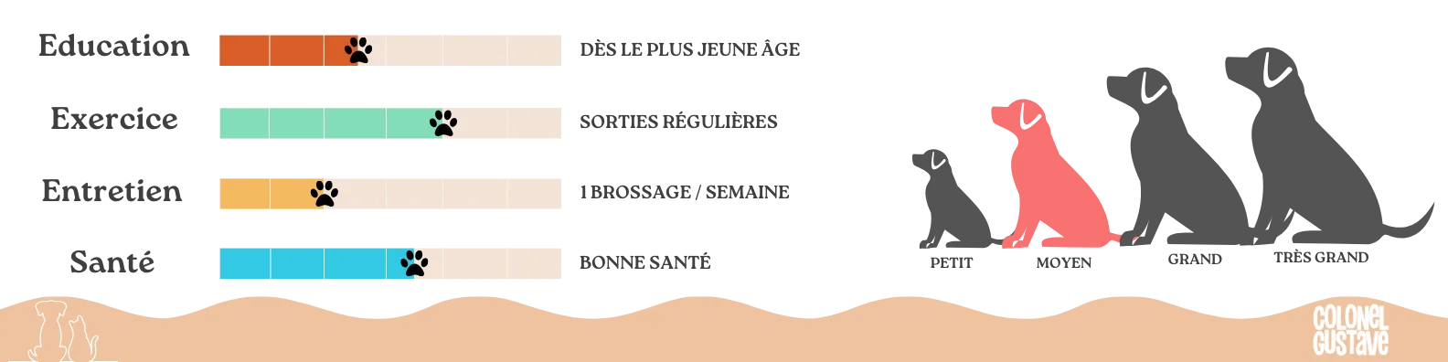 Caractéristiques Eurasier