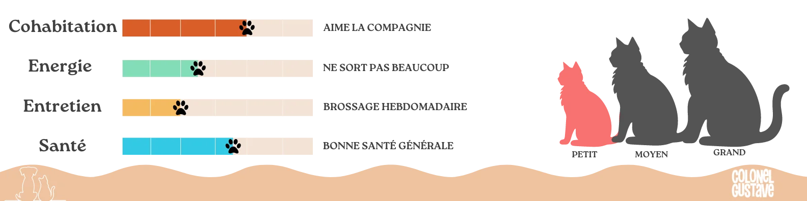 Caractéristiques Munchkin Colonel Gustave