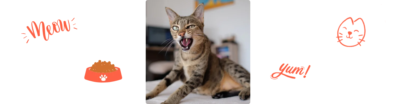 Chat qui crie Colonel Gustave