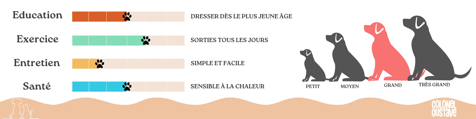 Caractéristiques Boxer Colonel Gustave