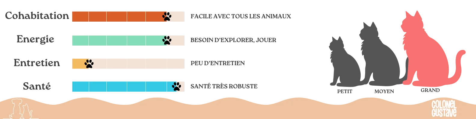 Caractéristiques Savannah Colonel Gustave