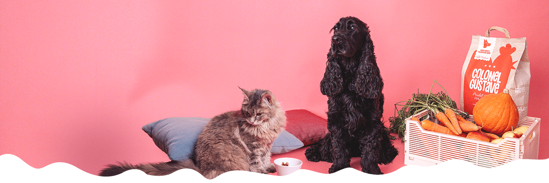 Colonel Gustave - Les croquettes <mark>locales</mark><br />
et super <mark>qualitatives</mark><br />
pour chien et chat !